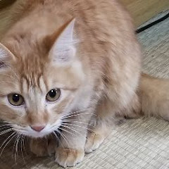 ひろき