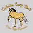 yt1pEoWAINs-channel-avatar-Caballos Camp Rodo