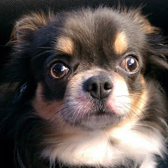 てりやきボーズ