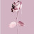 @rodriguetsobeng4246