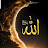 @riffatnoor6941