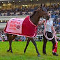 近大競馬サークル
