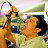 @iampoch01's avatar