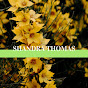 Shandra Thomas logo