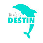 To Do In Destin logo