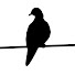 dciim0I8-oc-channel-avatar-Mourning Dove Films