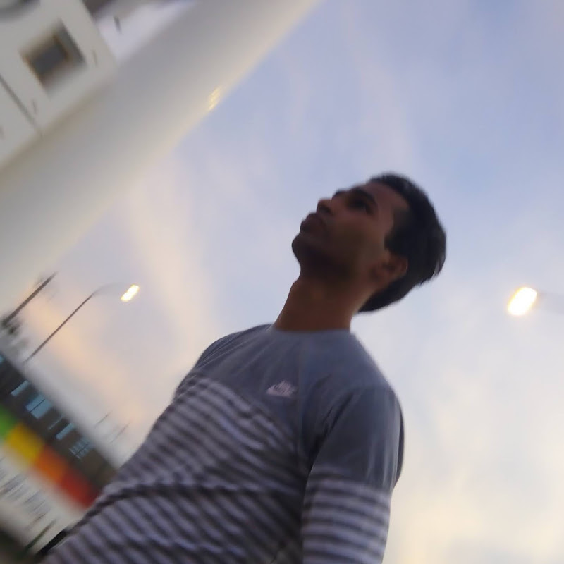 Aris Travel Diary
