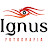 Ignus Fotografia