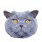 @CoconutandFamily's avatar