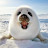 @loquero10's avatar