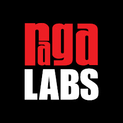 Raga Labs net worth