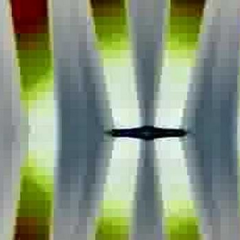 LM