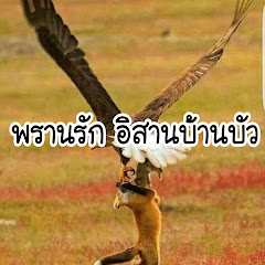 พรานรัก อิสานบ้านบัว avatar