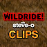 f1k62AVfEG8-channel-avatar-Steve-O's Wild Ride! - Clips