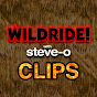 Steve-O's Wild Ride! - Clips Avatar