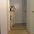 @corgidog1582