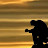 @onnoonesmus937 Avatar