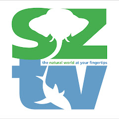 Weird Underwater World - SZtv