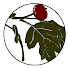 _GDGbAp9RTY-channel-avatar-Hawthorn University