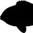 @conradtm's avatar