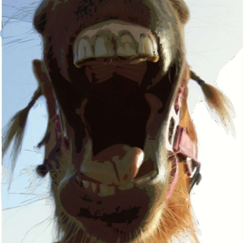 Channel Avatar