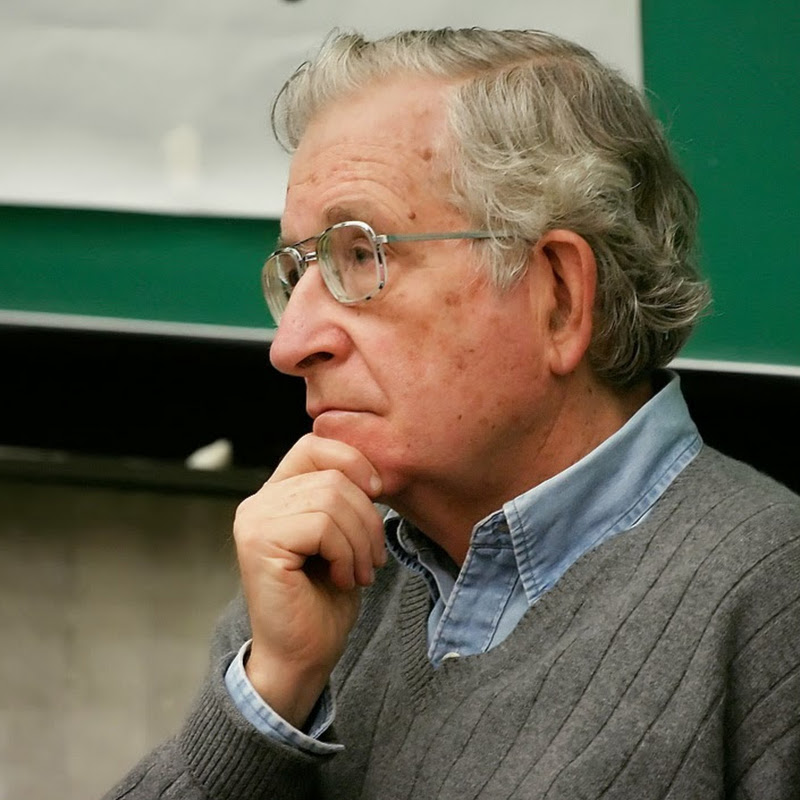 Chomskyan icon