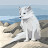 @user-vx2pg7gf7j