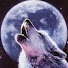 HMG1rPGbTFI-channel-avatar-Wolfpack Forever