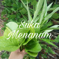 Логотип каналу Suka Menanam