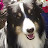 @frozenlake9140 Avatar