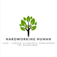 Hardworking Human net worth