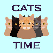 Cats Time
