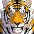 8jxgh2GcaL8-channel-avatar-박현민