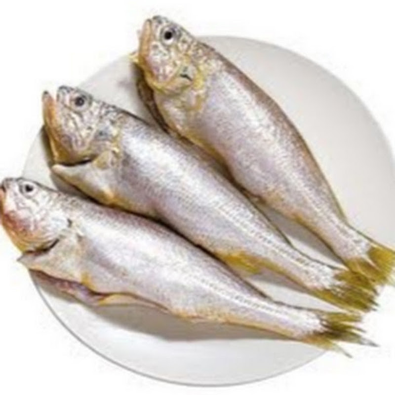 조기