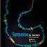 4wdQgegZcL4-channel-avatar-Turquoise in America