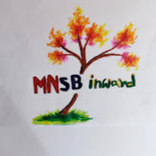 MNSB inward