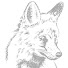 v9ilaYc7gng-channel-avatar-Don Fuchs
