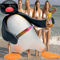 Pvt. PinguS