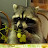 a raccoon eating grapes