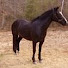 rSLpx5M2L_8-channel-avatar-ecoquestsalesmgr