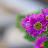 @user-nc9kr9gu6n