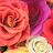 @user-vs3tv6rg3g