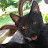 @johicks8168 Avatar
