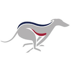 Newcastle Greyhound Stadium