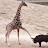 @user-kr9vb5eo8q
