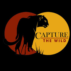Capture The Wild Avatar