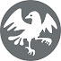 6CItKu-VJfY-channel-avatar-WhiteCrow Taijiquan