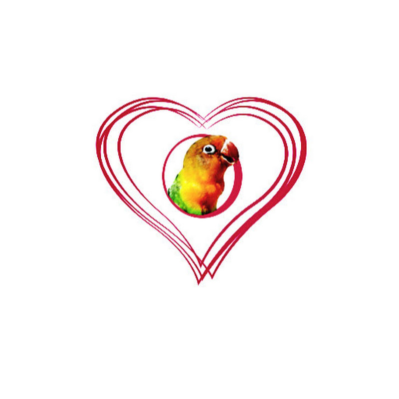 Lovebird Valley icon