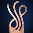 5fVy_xIzQBc-channel-avatar-Deutscher Schauspielpreis