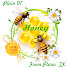 AWcpLx8rJFk-channel-avatar-Plain Ol' Beekeeping in Plano, TX